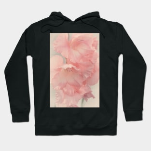 Lily Dreams Hoodie